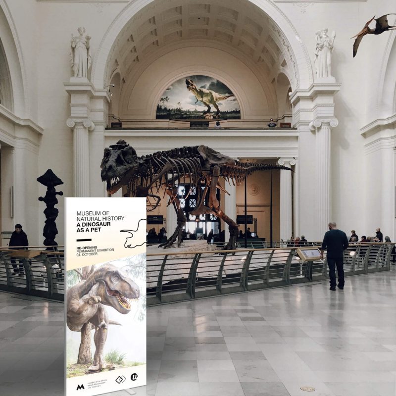 LED roll up baner u muzeju i skelet dinosaurusa